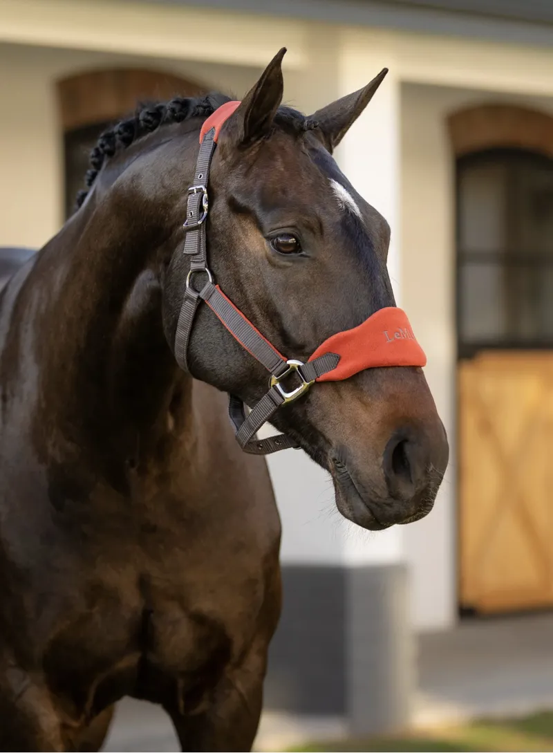 LeMieux Vogue Headcollar and Leadrope Sienna